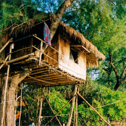 Tree House